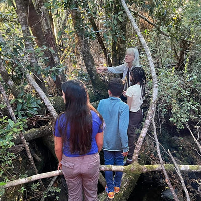 Sendero guiado por el bosque nativo en Raymapu